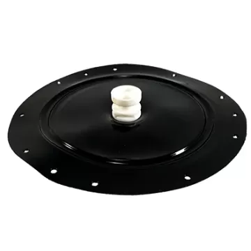Diaphragm Assembly