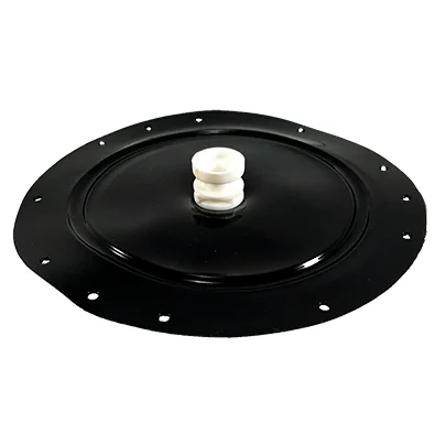 Diaphragm Assembly